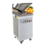 DZ-400 Desktop Vacuum Packaging Sealing Machine